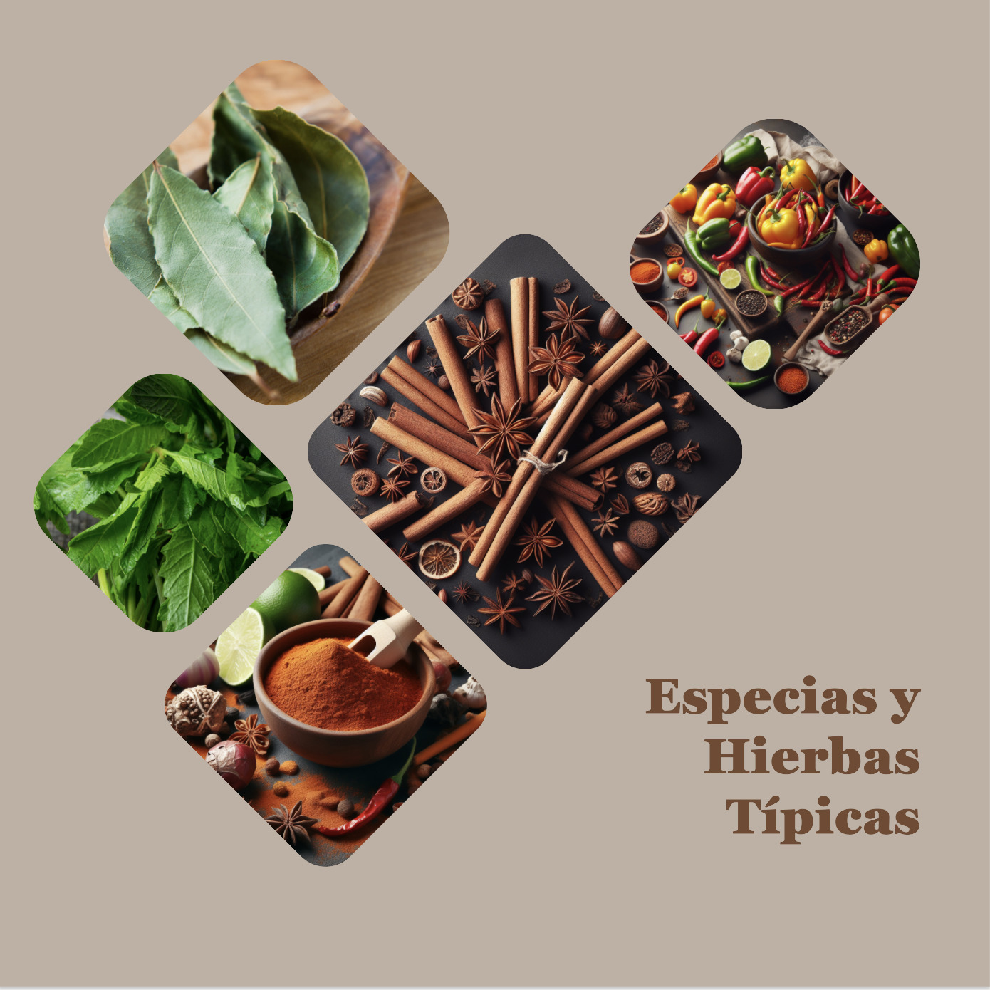 Las Especias Y Hierbas Típicas: El Alma De La Cocina Mexicana